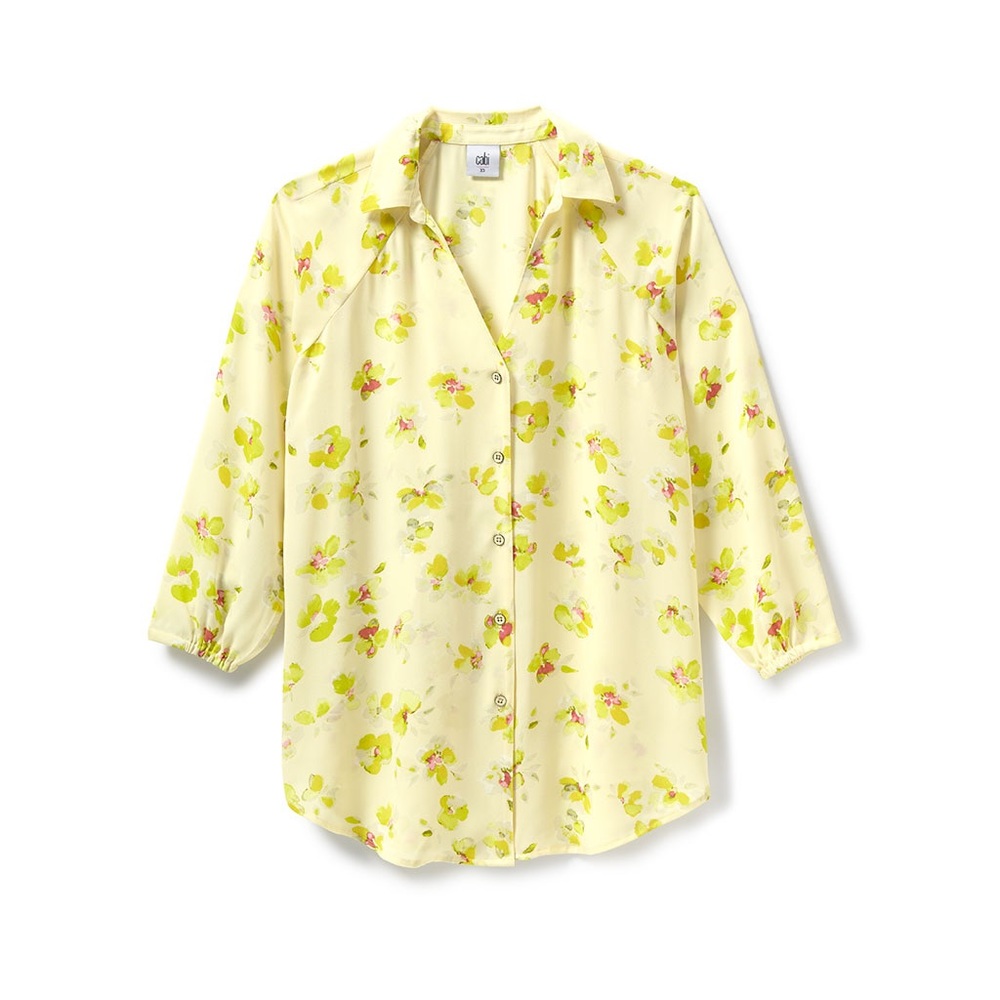 Cabi Go-To Blouse (style 6294)